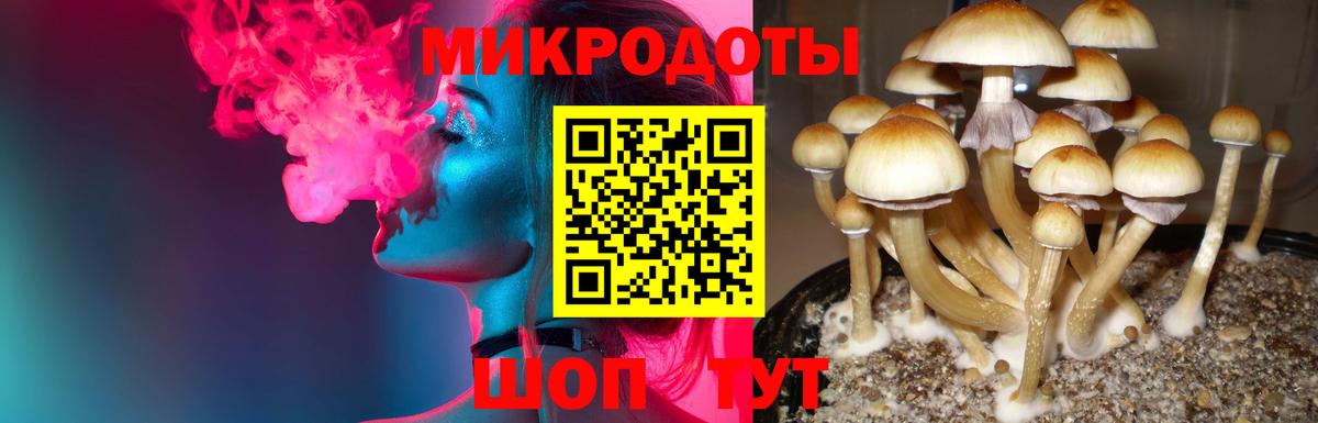 Псилоцибиновые грибы MAGIC MUSHROOMS Волгоград